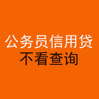 上林公务员信用贷款