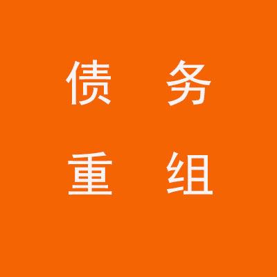 上林个人债务重组优化